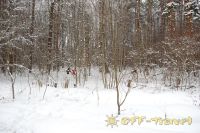 260212DSC_0982.jpg