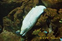 220112DSC_2114.jpg
