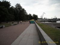 80.jpg