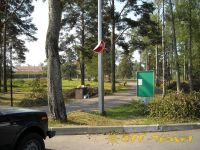 136.jpg