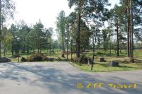 94.jpg