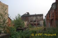 194.jpg