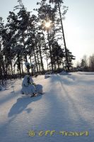 DSC_0867.jpg