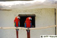 DSC_0047.jpg
