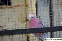 DSC_0048.jpg