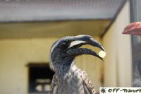 DSC_0056.jpg