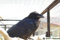 DSC_0123.jpg