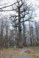 mrDSC_1672.jpg