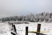 DSC_0677.jpg