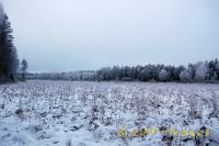 DSC_0689.jpg