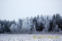 DSC_0692.jpg