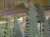peDSCN8094_tn.jpg