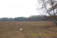 haDSC_0198.jpg