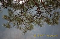 haDSC_0358.jpg
