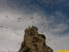 DSC01266.jpg