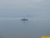 IMG_2484.jpg