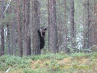 kar13IMG_4748.jpg