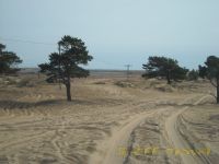 kar13DSCN0293.jpg