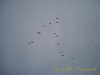 kar13DSCN0321.jpg