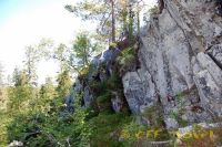 k4DSC_0491_tn.jpg