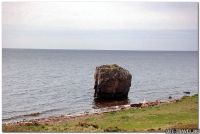 asDSC_0148.jpg