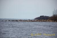 4rDSC_0368_tn.jpg