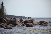 4rDSC_0370_tn.jpg