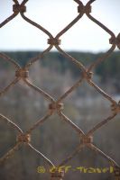 4rDSC_0378_tn.jpg