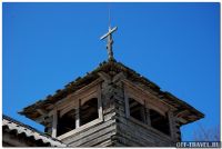 111DSC_0130forest.jpg