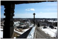 111DSC_0135forest.jpg