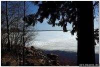 111DSC_0139forest.jpg