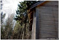 111DSC_0140forest.jpg