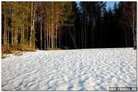 Имя файла=111DSC_0160forest.jpg
Размер файла=302КБ
Размеры=1045x702
Дата=Май 09, 2017 111DSC_0160forest.jpg