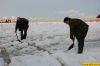 Имя файла=DSC_0469.jpg
Размер файла=150КБ
Размеры=800x532
Дата=Март 17, 2008 DSC_0469.jpg