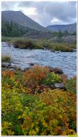 hib_00017.jpg