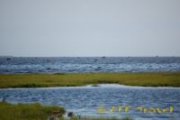 kol2012DSC_0404.jpg