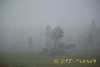 kol2012DSC_0420.jpg