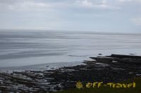 kol2012DSC_0221.jpg