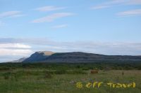 kol2012DSC_0234.jpg