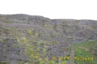 kol2012DSC_0237.jpg