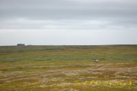 Имя файла=kol2012DSC_0336.jpg
Размер файла=72КБ
Размеры=800x532
Дата=Авг 10, 2012 kol2012DSC_0336.jpg