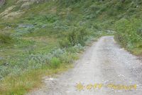 kol2012DSC_0379.jpg