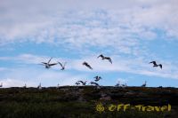 kol2012DSC_0137.jpg