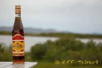 kol2012DSC_0156.jpg