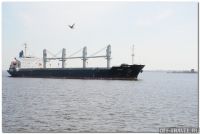 kr1123_forest.jpg