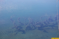 b022.jpg