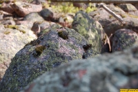 b024.jpg