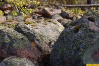 b025.jpg