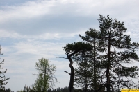 b060.jpg