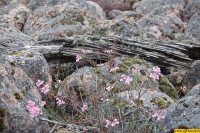 b072.jpg